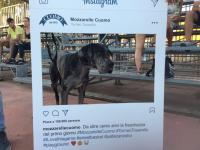 SORRISI PER LA CUOMO